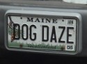 Dog Plates_549.jpg